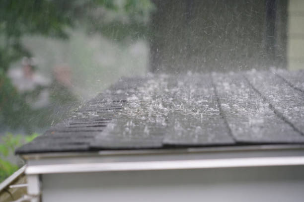 Best Asphalt Shingle Roofing  in Ingleside, TX