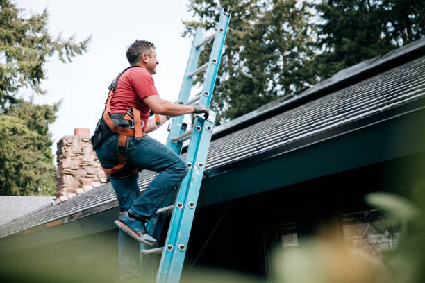 Best Roof Insulation Installation  in Ingleside, TX